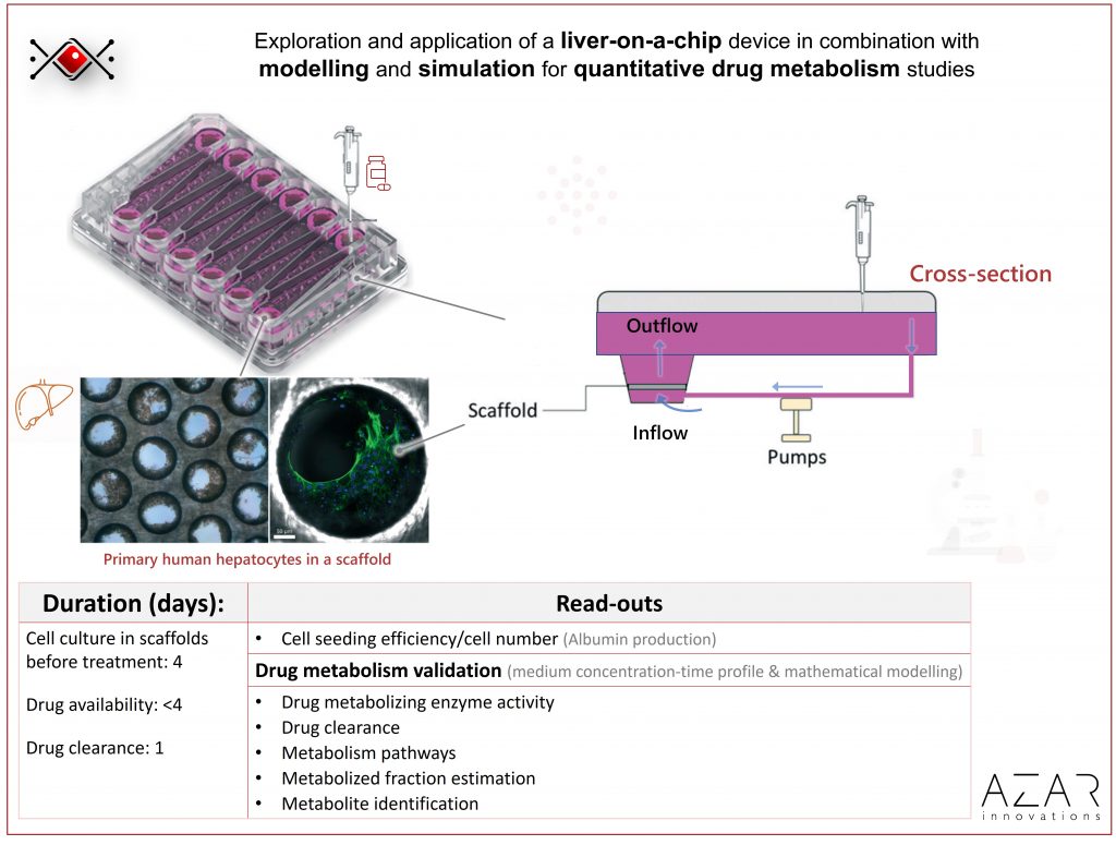 Liver-on-a-chip and mathematical modeling for drug metabolism studies Key words: organ on a chip, microphysiological systems, tissue chips, microfluidics, liver, drug, ADME, pharmacokinetic, hepatocytes, drug metabolism, metabolite, mathematical modelling, simulation, intrinsic clearance, IVIVE, drug-drug interaction, metabolic pathway