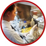 organ on chip, microfluidics, mps, microphysiological systems, trianing, hands on, workshop, course, online e-learning, lab sessions 1