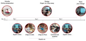 organ on chip MasterClass AZAR Innovations, training, course, workshop, hands on, mps, microsphysiolgoical systems, cells